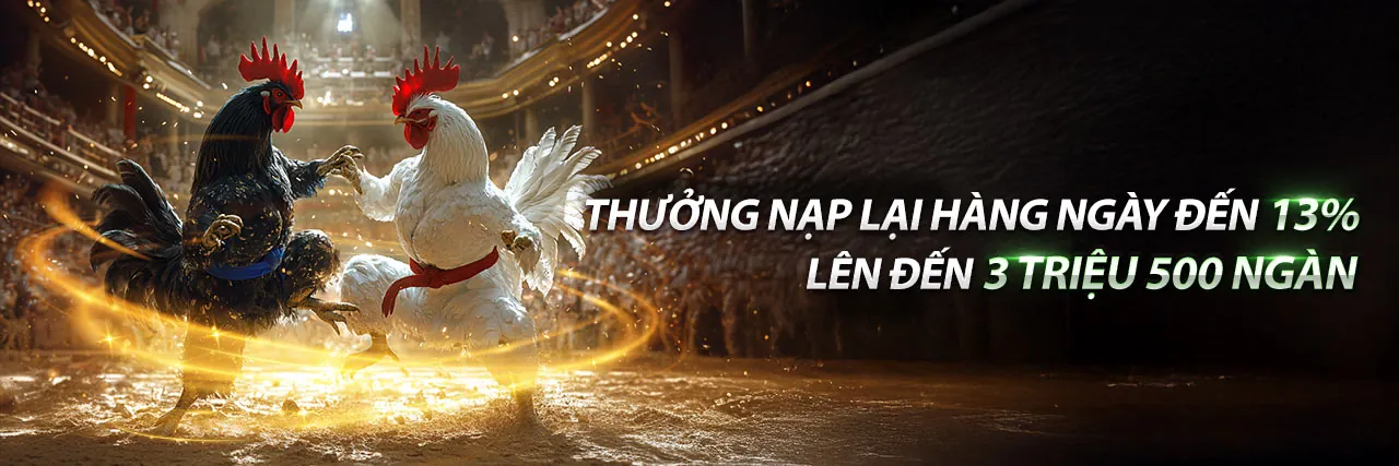 Tham gia chương trình VIP Q8BET Trang Chủ Chính Thức ngay